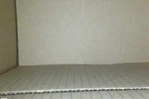 Box still